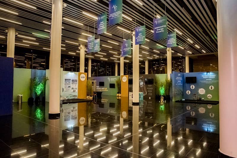 African Wildlife - Monkeys in trees