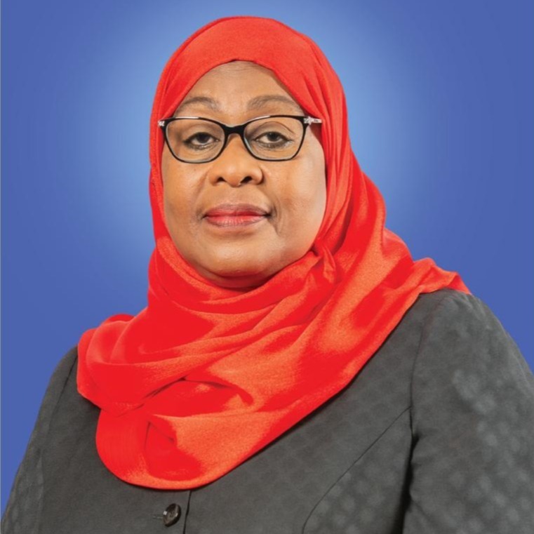 H.E. The President